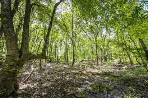 Tract 7 County Road 4221 Frankston TX 75763
