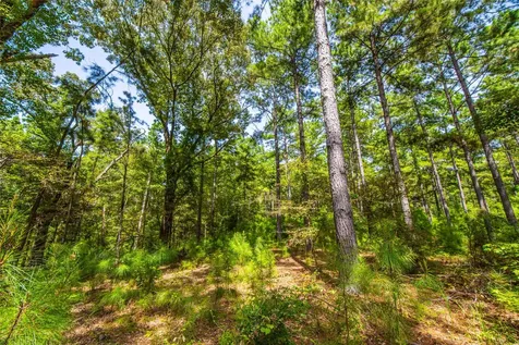 Tract 7 County Road 4221 Frankston TX 75763