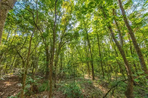 Tract 7 County Road 4221 Frankston TX 75763