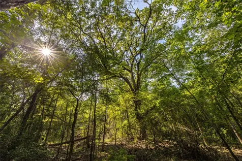 Tract 7 County Road 4221 Frankston TX 75763