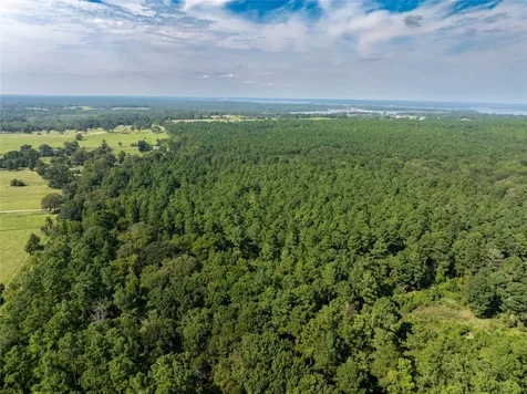 Tract 7 County Road 4221 Frankston TX 75763