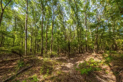 Tract 10 County Road 4222 Frankston TX 75763