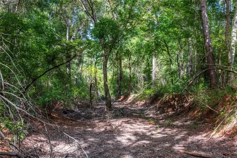 Tract 10 County Road 4222 Frankston TX 75763