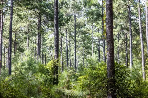 Tract 10 County Road 4222 Frankston TX 75763