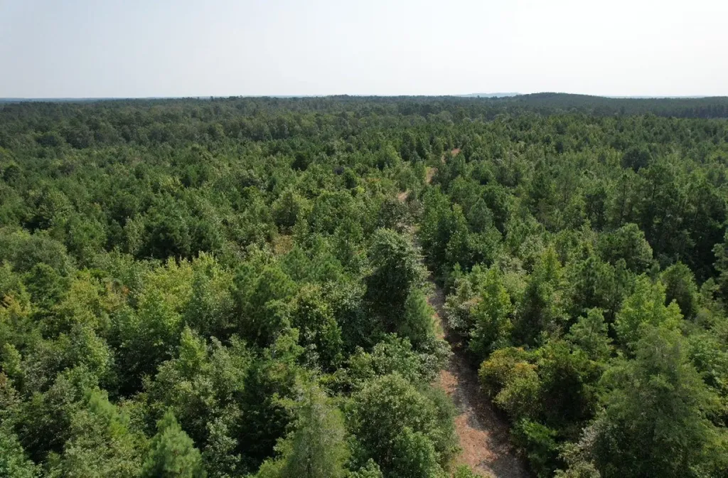 Tbd County Road 3163 Laneville TX 75667
