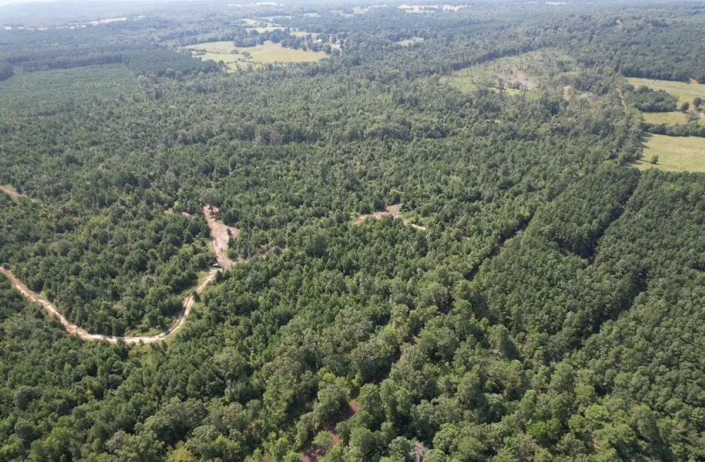 Tbd County Road 3163 Laneville TX 75667
