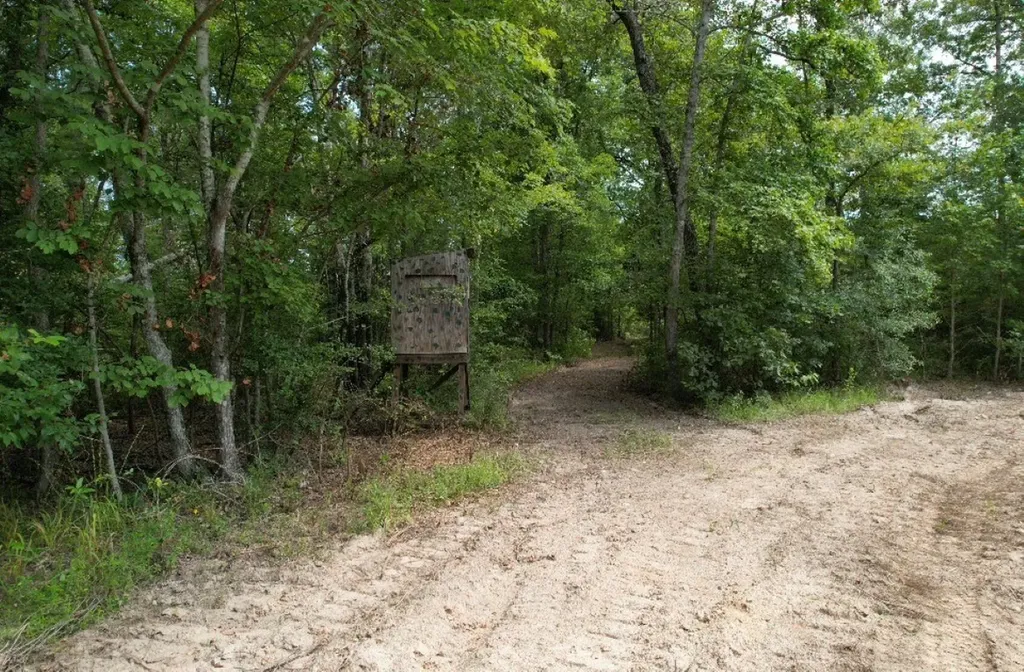 Tbd County Road 3163 Laneville TX 75667