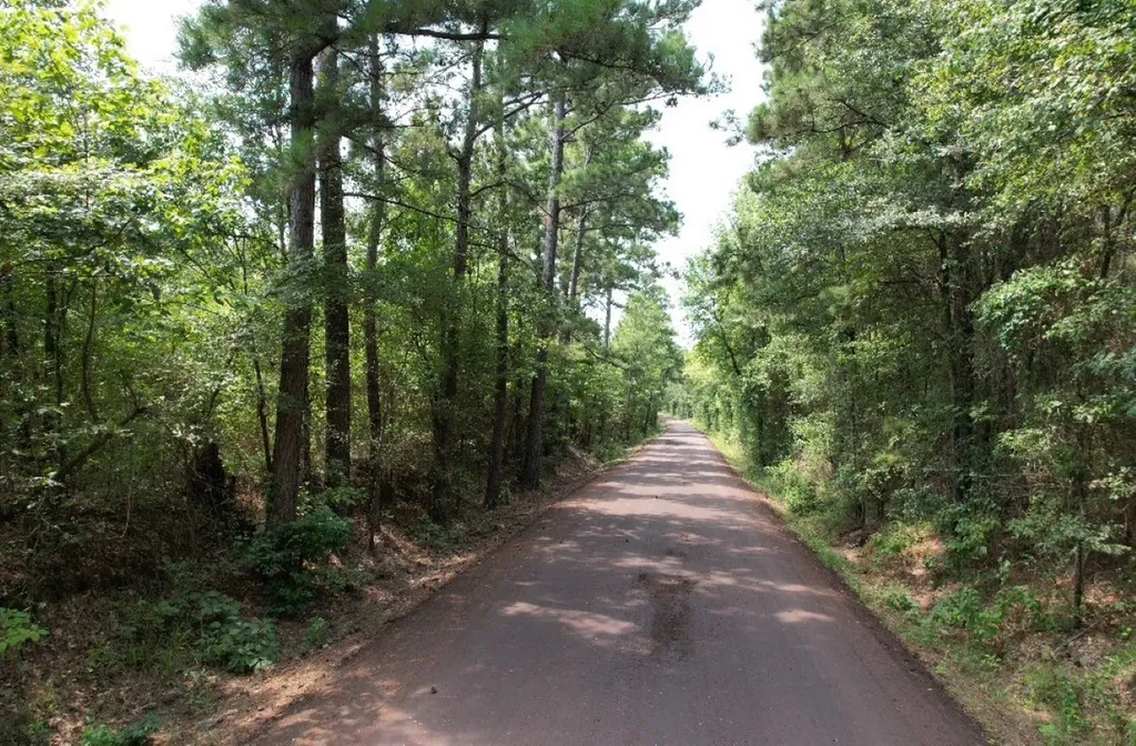 Tbd County Road 3163 Laneville TX 75667