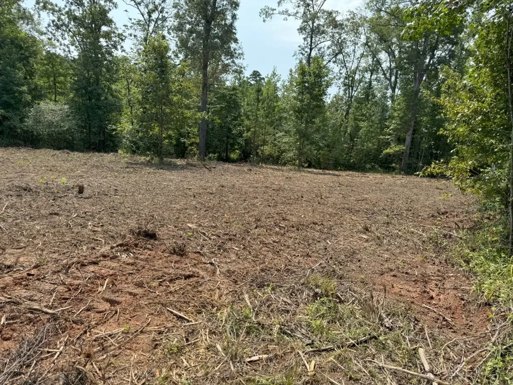 Tbd County Road 3163 Laneville TX 75667