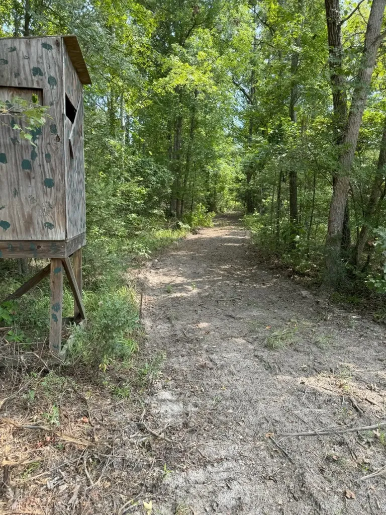 Tbd County Road 3163 Laneville TX 75667