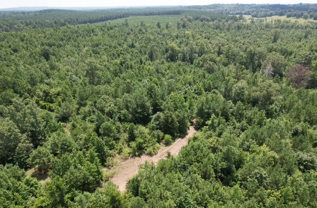 Tbd County Road 3163 Laneville TX 75667