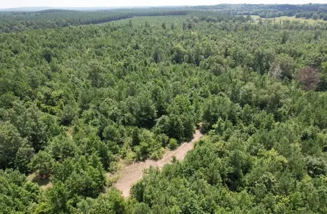 Tbd County Road 3163 Laneville TX 75667