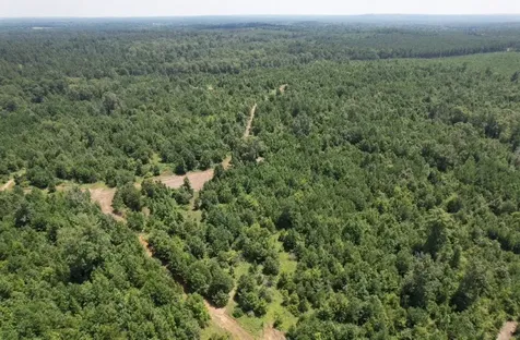 Tbd County Road 3163 Laneville TX 75667