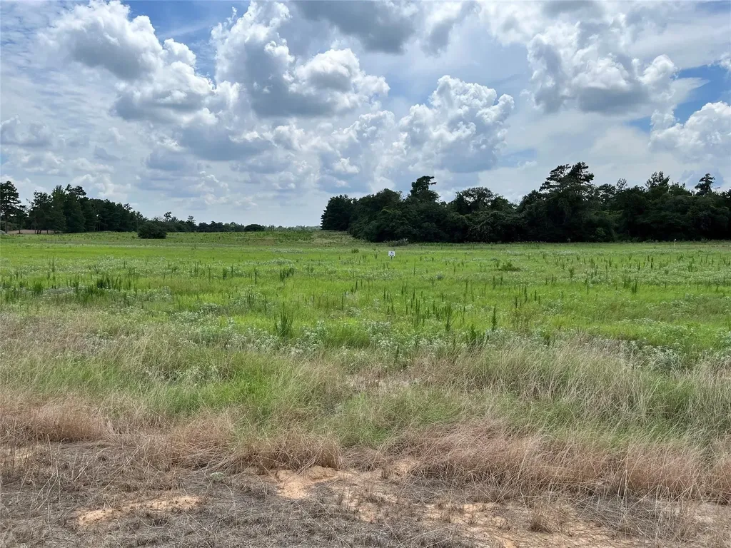 94 Pr 1315 10.01 Acre Trail 94 Centerville TX 75833