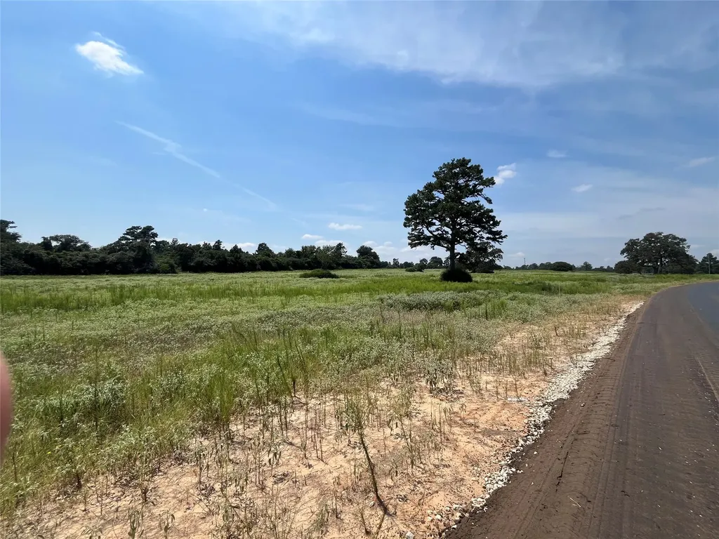 94 Pr 1315 10.01 Acre Trail 94 Centerville TX 75833