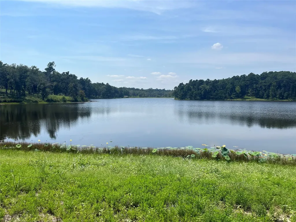 94 Pr 1315 10.01 Acre Trail 94 Centerville TX 75833