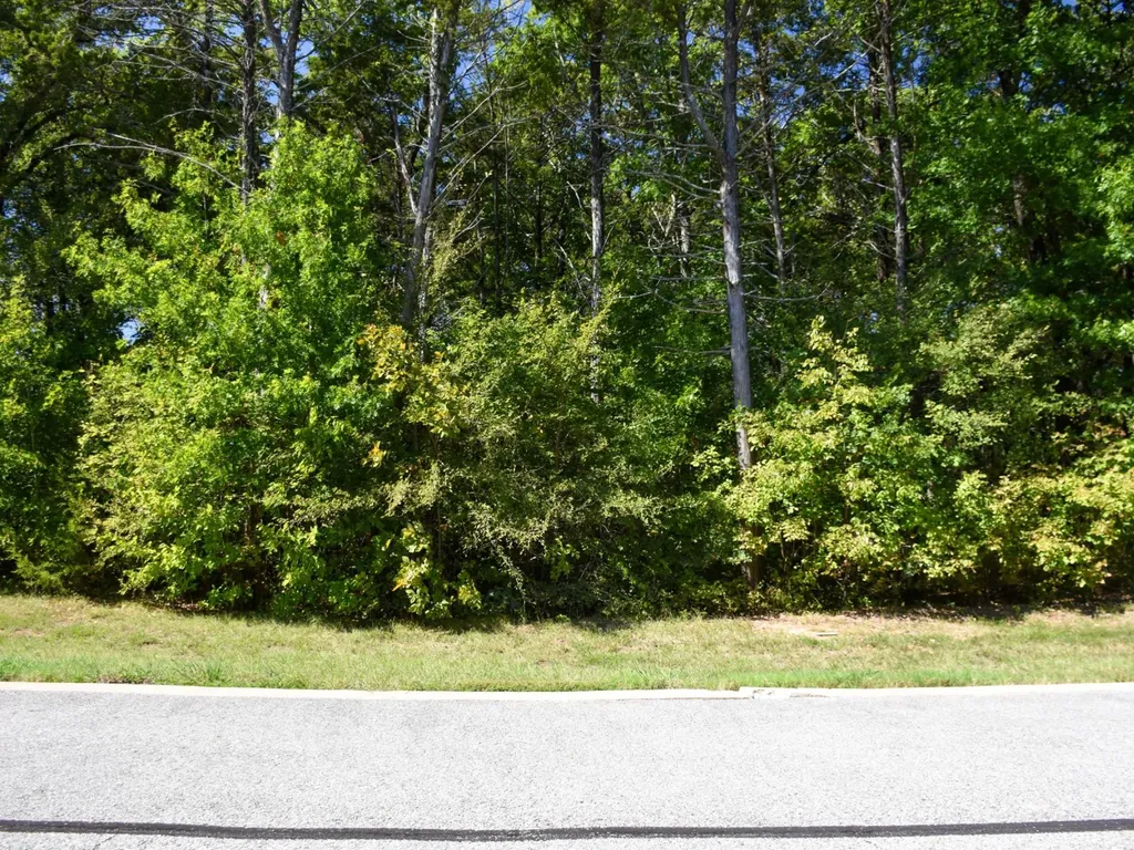 Tbd Annadale Lane Gordonville TX 76245