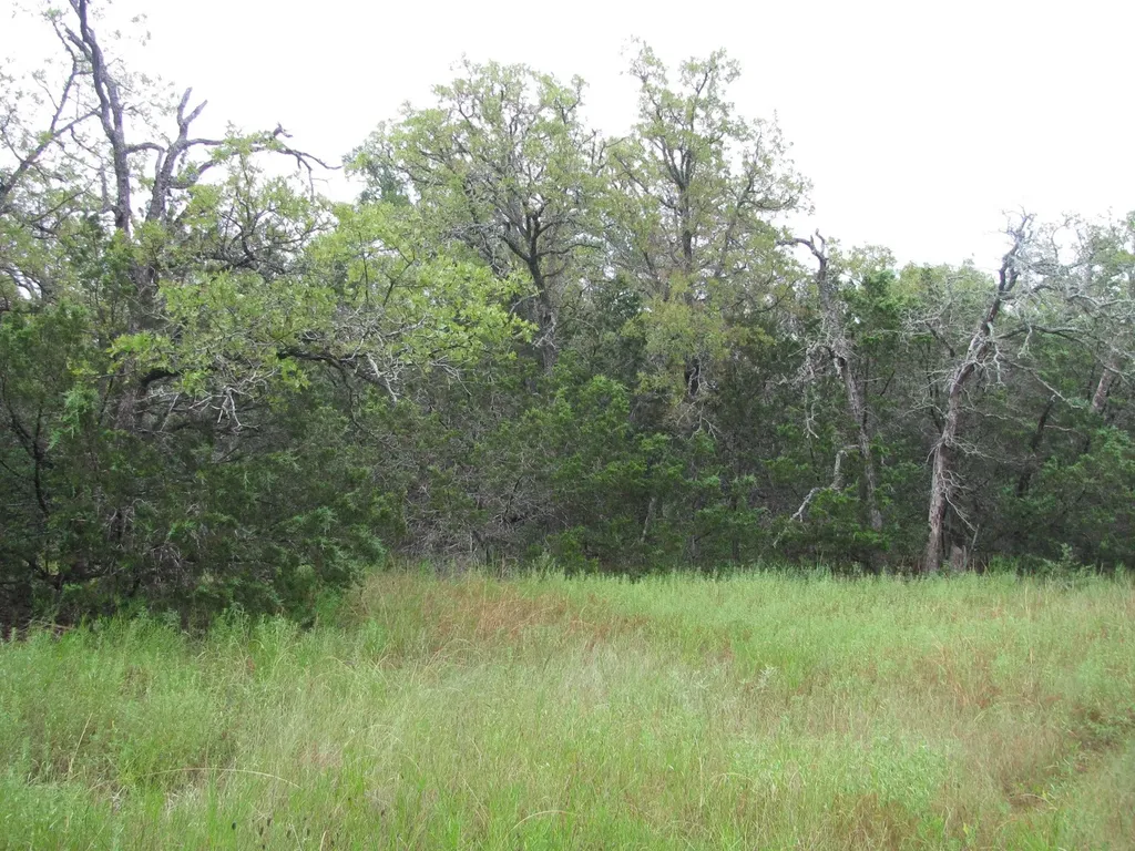 Tbd Pr 1002 Purmela TX 76566