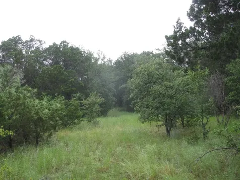 Tbd Pr 1002 Purmela TX 76566
