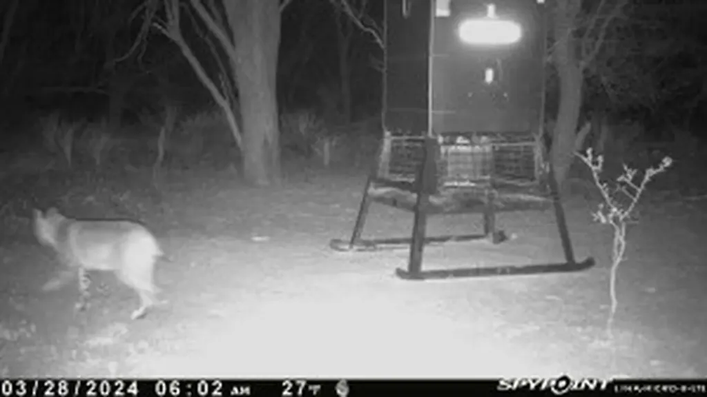 Tbd Cr 129 Rule TX 79547
