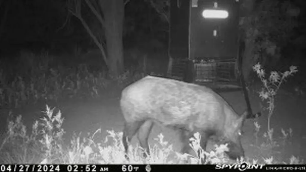 Tbd Cr 129 Rule TX 79547