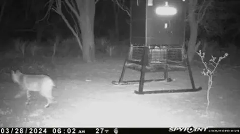 Tbd Cr 129 Rule TX 79547