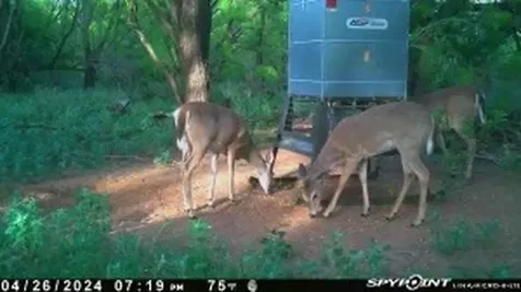 Tbd Cr 129 Rule TX 79547