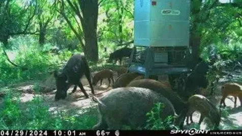 Tbd Cr 129 Rule TX 79547