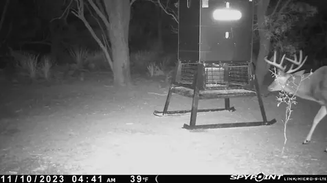Tbd Cr 129 Rule TX 79547