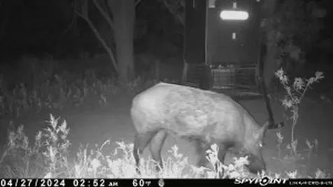 Tbd Cr 129 Rule TX 79547