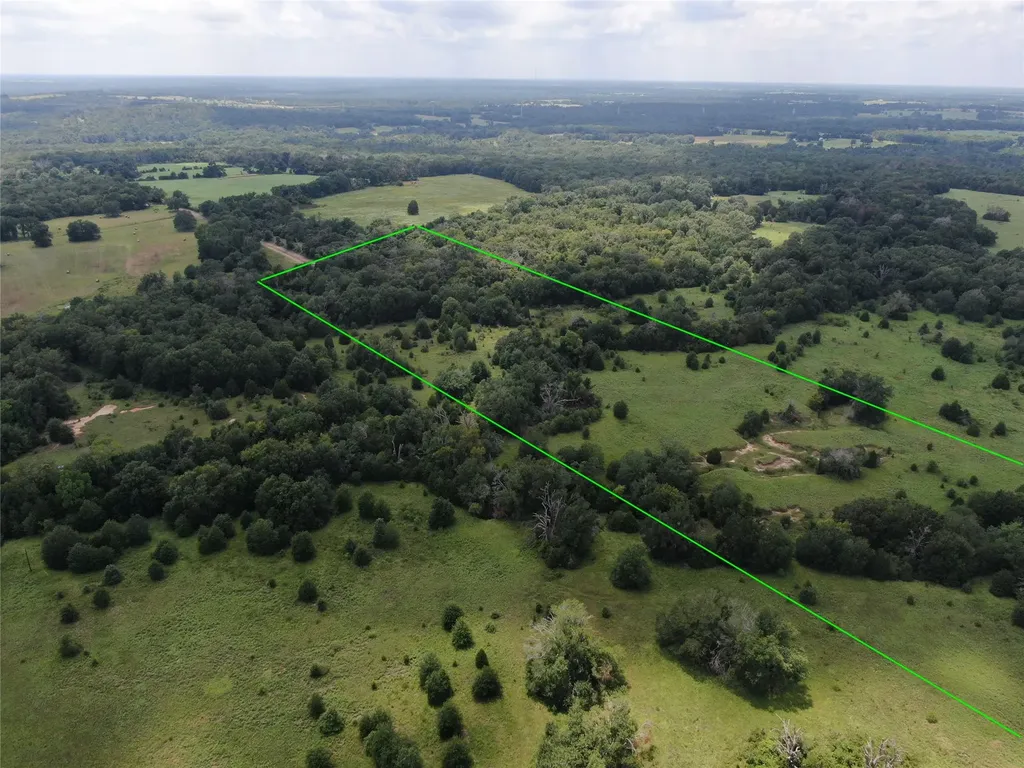 1 County Road 411 Buffalo TX 75831