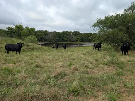 5627 Fm 2127 Bowie TX 76230