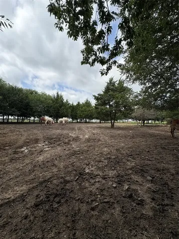 Tbd Palmyra Road Palmer TX 75152