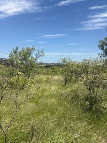 55 County Road 275 Priddy TX 76442