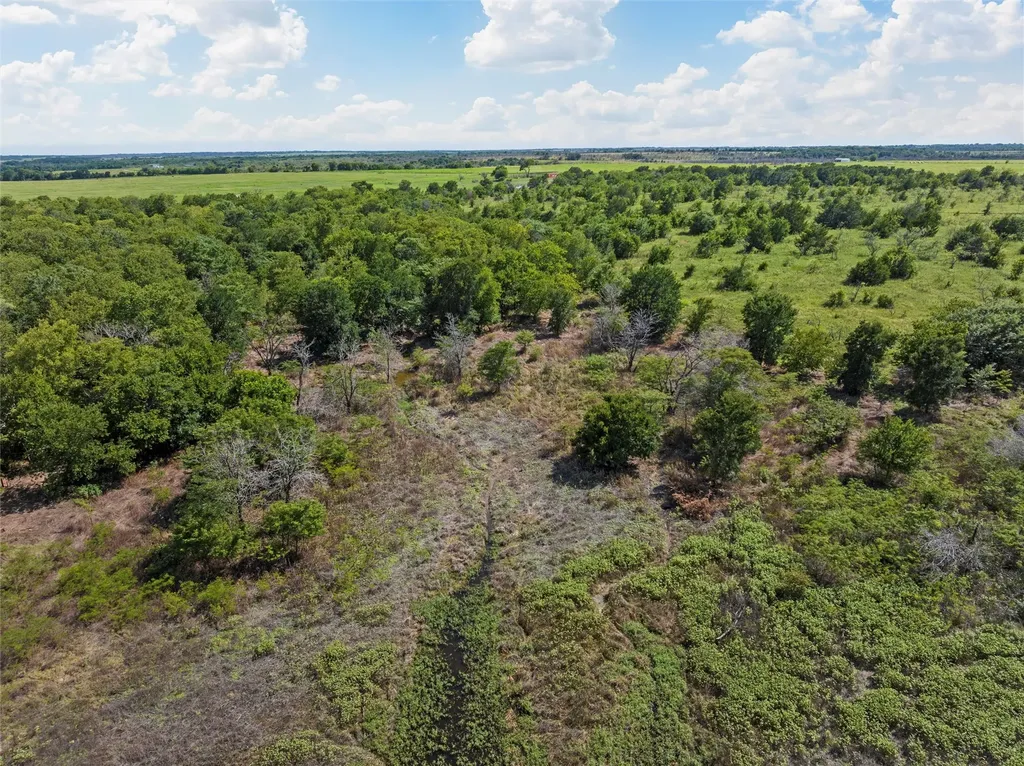 Tbd County Road 214 Coolidge TX 76635