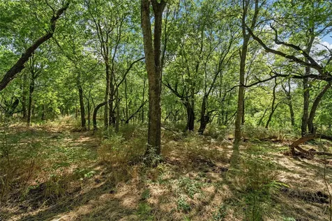 Tbd County Road 214 Coolidge TX 76635