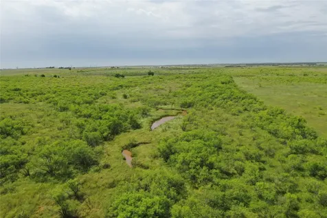 Tbd Davis Ln-tract 8 Bellevue TX 76228