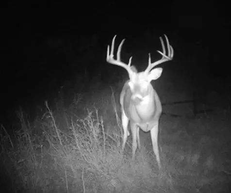 Tbd Davis Ln-tract 8 Bellevue TX 76228
