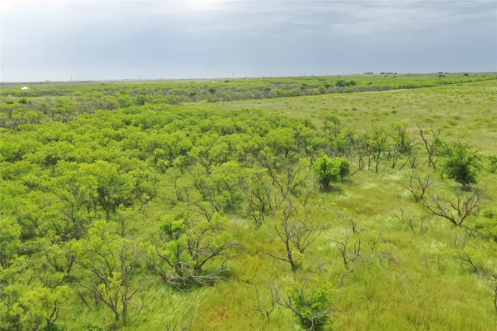 Tbd Fm 2321 Tract 2 Bellevue TX 76228