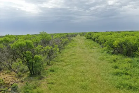 Tbd Fm 2321 Tract 2 Bellevue TX 76228