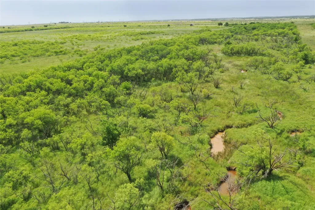 Tbd Davis Ln-tract 9 Bellevue TX 76228