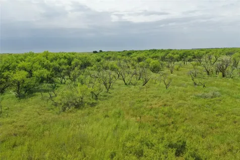 Tbd Davis Ln-tract 9 Bellevue TX 76228