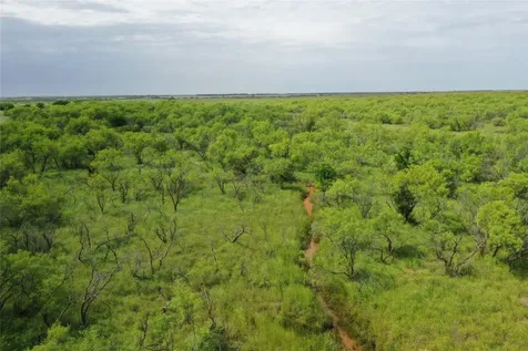 Tbd Davis Ln-tract 9 Bellevue TX 76228