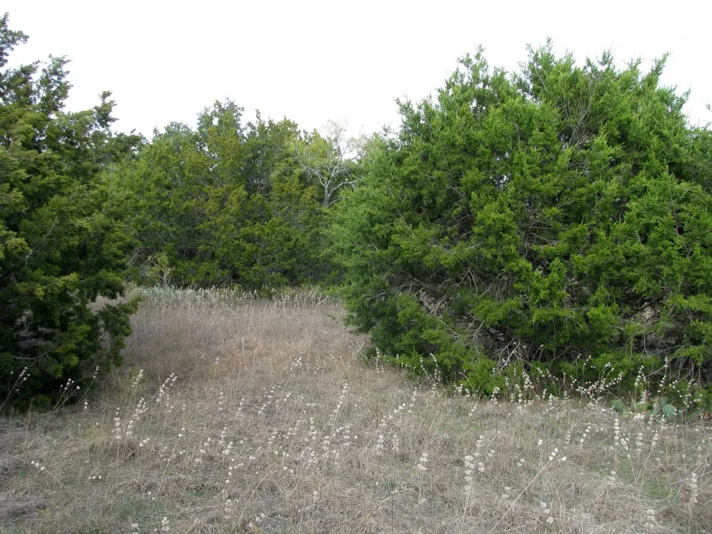Lot 140 Ph 6 County Road 421 Evant TX 76566