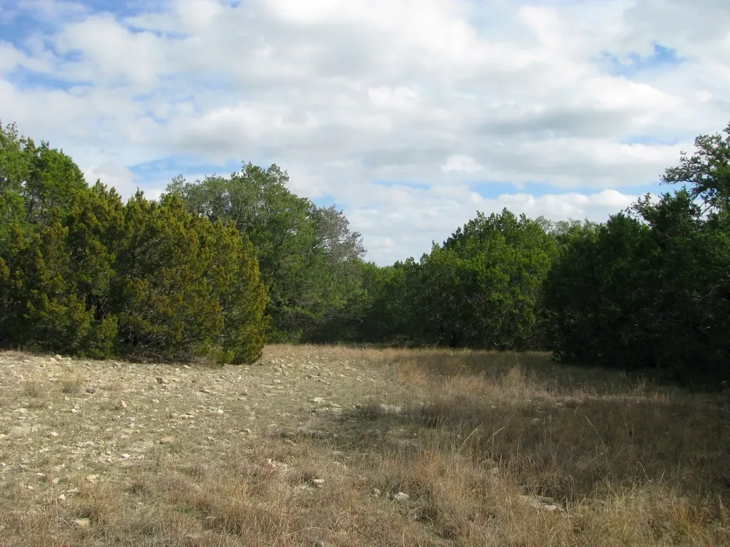 Lot 140 Ph 6 County Road 421 Evant TX 76566