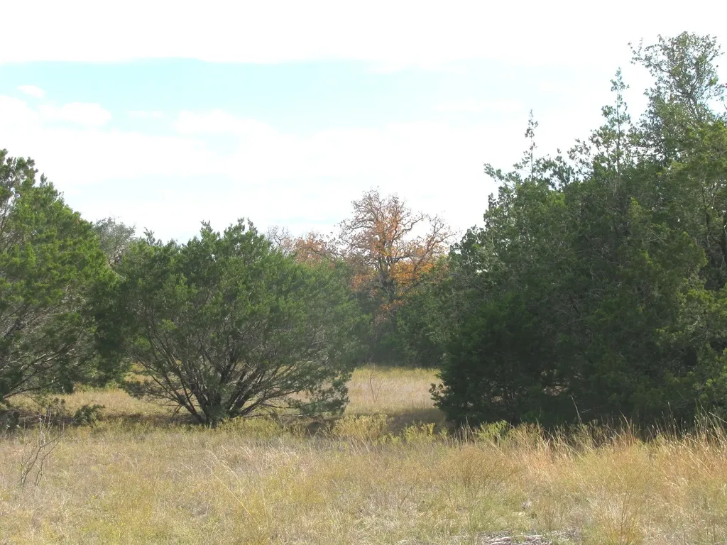 Lot 140 Ph 6 County Road 421 Evant TX 76566