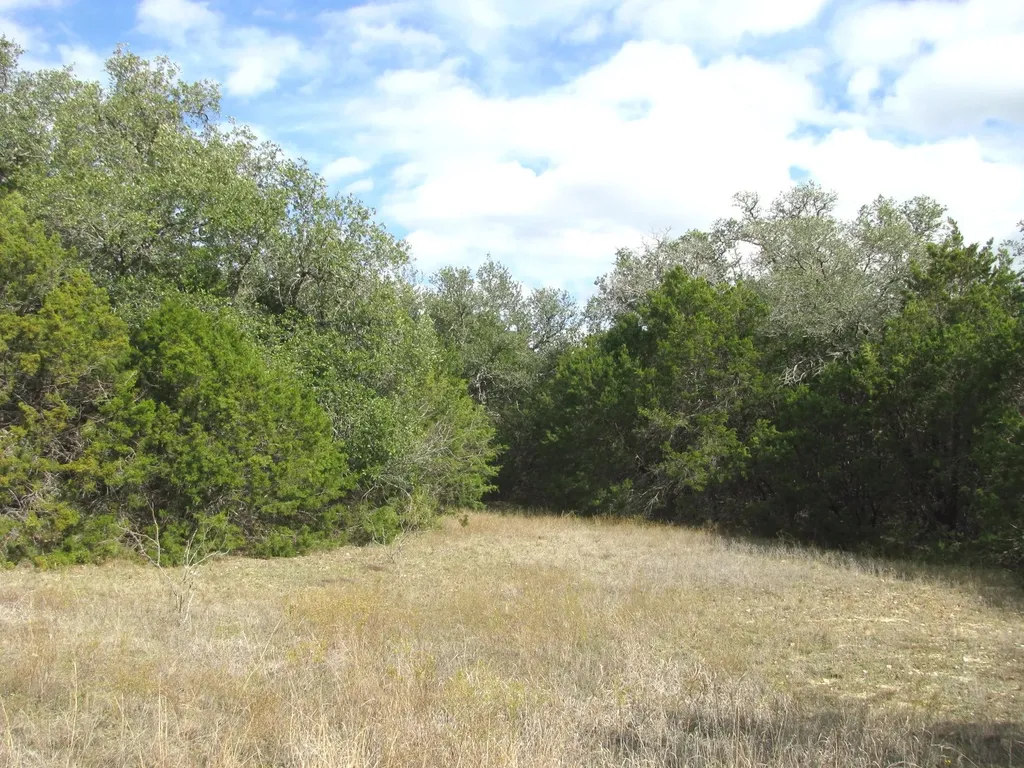 Lot 140 Ph 6 County Road 421 Evant TX 76566