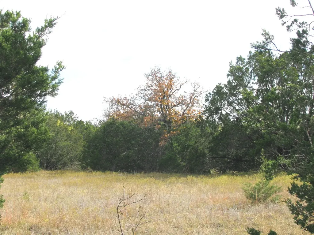 Lot 140 Ph 6 County Road 421 Evant TX 76566