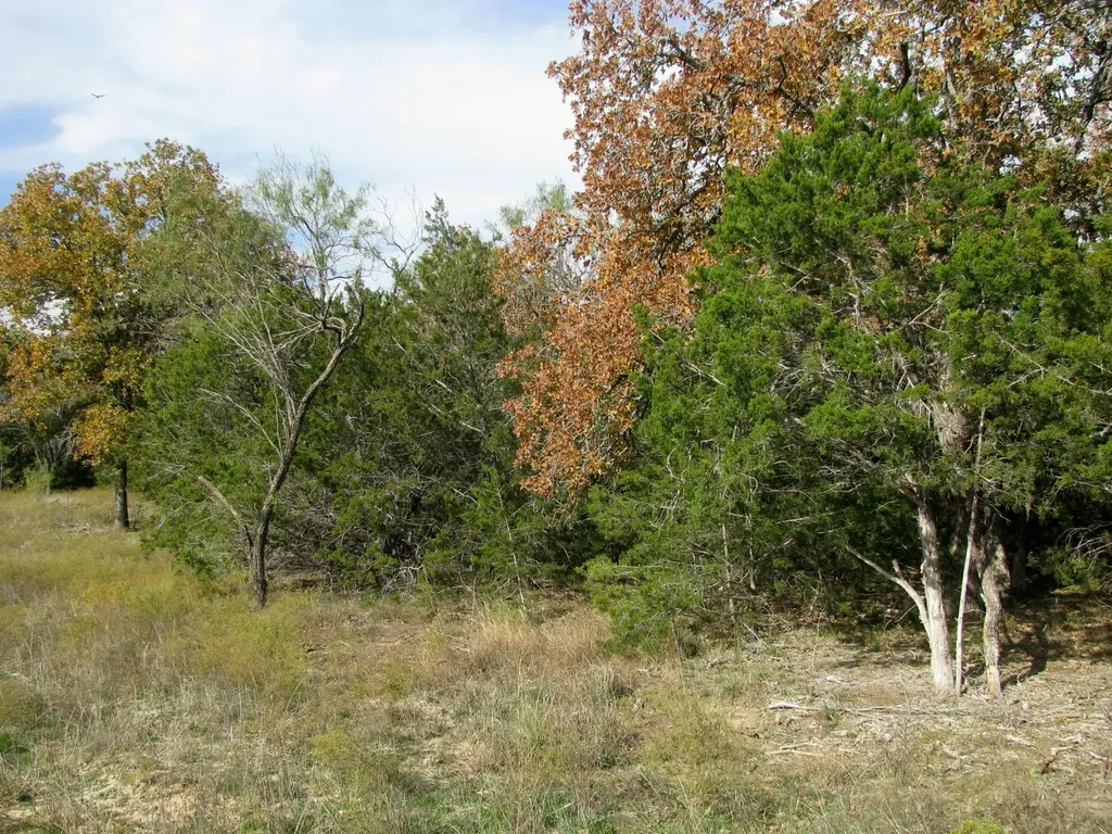 Lot 140 Ph 6 County Road 421 Evant TX 76566
