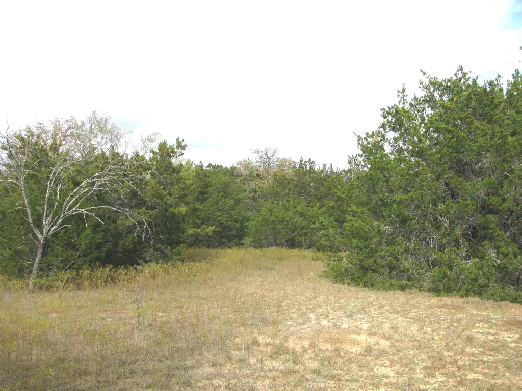 Lot 140 Ph 6 County Road 421 Evant TX 76566